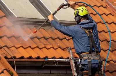Démoussage et hydrofuge de toiture à Mazerolles